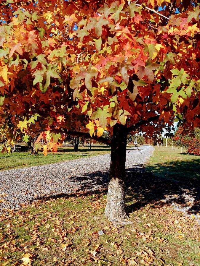 Casa De Campo Liquidambar San Pedro  Ngoại thất bức ảnh